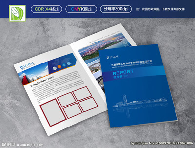 技术咨询报告书与技术服务 赋能企业数字化转型的全面指南